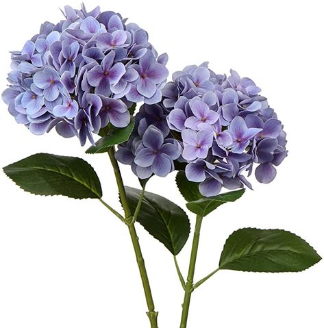 Amazon.com: Faux Hydrangea Large Artificial Purple Hydrangea Flowers 24.8" Real Touch Hydrangea Flowers Lifelike Silk Hydrangea Stems for Wedding Party Garden Home Decor-2PCS: Kitchen & Dining Flower Bouquet Hydrangea, Hydrangea Arrangements Wedding, Lavender Hydrangea, Large Hydrangea, Blue Hydrangea Flowers, Fake Hydrangeas, Purple Hydrangea, Hydrangea Colors, Growing Hydrangeas