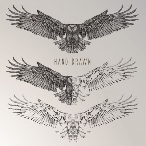 Hand drawn eagle collection Free Vector | Free Vector #Freepik #freevector #hand #nature #animal #hand-drawn Owl Tattoo Chest, Eagle Chest Tattoo, Small Eagle Tattoo, Tatuaje Cover Up, Herren Hand Tattoos, Hawk Tattoo, Ring Finger Tattoos, Cool Chest Tattoos, Inspiration Tattoos