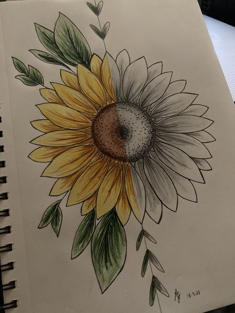 Half And Half Drawings Sketch, Half Sketch Half Painting, Wilted Sunflower Drawing, Sunflower Drawing Pencil Sketch, Sun Flower Drawing Simple, Half Flower Painting, Half Sunflower Drawing, Sun Flowers Drawing, Half Sunflower Tattoo