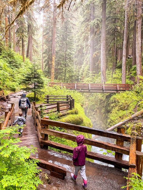 The Perfect 3 Day Itinerary for Olympic National Park — Big Brave Nomad Olympic National Park Photography, Hiking Itinerary, Olympia National Park, Olympic National Park Itinerary, Pnw Summer, Forest Trip, Pnw Hiking, Pnw Travel, Sequoia National Park California