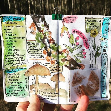 Tonya (@scratchmadejournal) • Instagram photos and videos Draw Your Day, Architecture Journal, Sketchbook Idea, Illustrated Journal, Art Markers Drawing, Voyage Bali, Markers Drawing, Travel Art Journal, Watercolor Art Journal