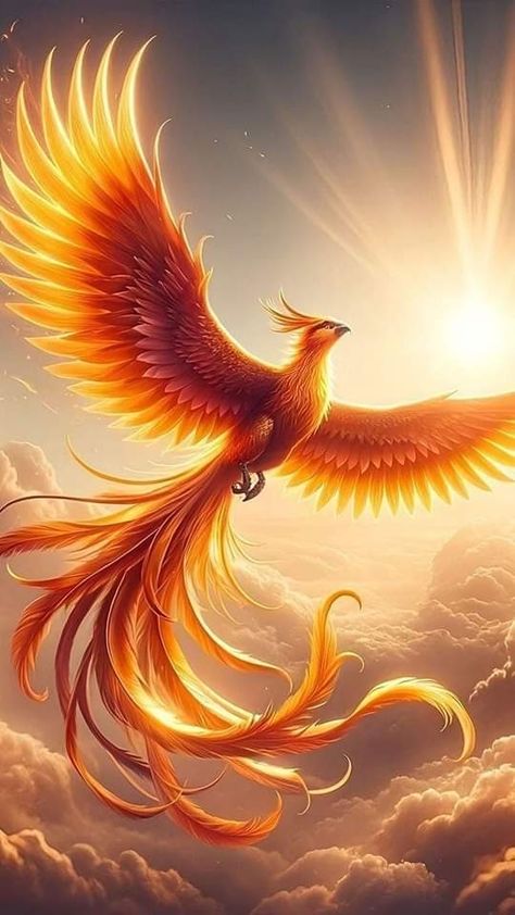 Fenix Wallpaper, Phoenix Animal, Rebirth Tattoo, Phoenix Bird Art, Small Phoenix Tattoos, Phoenix Wallpaper, Phoenix Artwork, Phoenix Images, Phoenix Tattoos