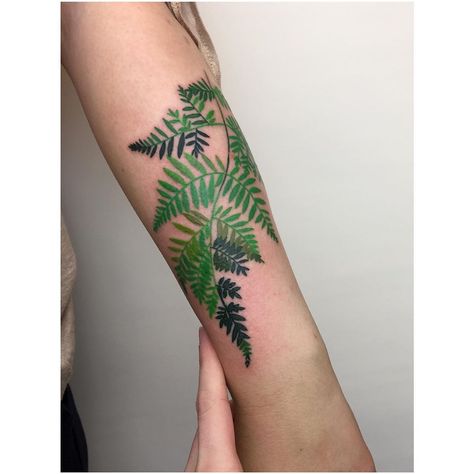 10.06-16.07 KIEV 18.07-19.07 STOCKHOLM 22.07-26.07 AMSTERDAM 30.07-23.08 KIEV 26.08-30.08 LONDON #ferntattoo #stockholmtattoo #kievtattoo… Green Plants Tattoo, Green Fern Tattoo, Leaf Tattoo Color, Green Plant Tattoo, New Zealand Fern Tattoo, Green Flower Tattoo, Green Ink Tattoo, Tattoo Fern, Green Tattoo