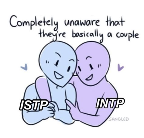 Infp Istp Couple, Intp Istp Relationship, Istp Intp Couple, Intp X Istp Relationship, Intp X Istp, Istp Intp, Intp Love, Intp Istp, Istp Relationships