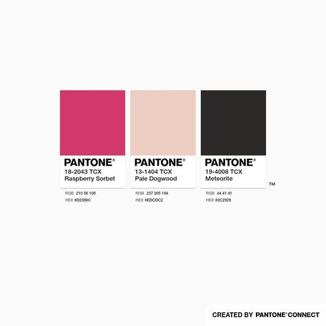 Pink Black Color Palette, Shades Of Pink Names, Pink And Black Color Palette, Pale Dogwood, Black Color Palette, Pink Names, Raspberry Sorbet, Color Palette Pink, Instagram Layout