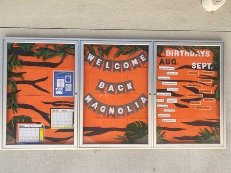 School bulletin board. Tiger and jungle theme. Tiger Bulletin Board Ideas, Tiger Bulletin Board, Seasonal Bulletin Boards, Speech Classroom, Teaching Displays, Sunshine Committee, Jungle Tiger, Birthday Bulletin Boards, Birthday Bulletin