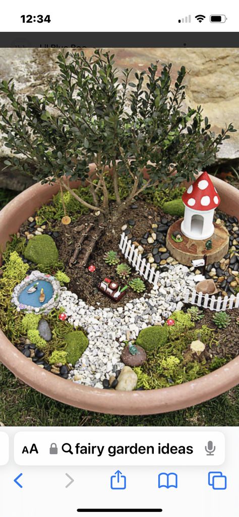 Tree Fairy Garden, Funny Fairy, Kaktus Dan Sukulen, Tree Fairy, Fairy Garden Ideas, Fairy Garden Crafts, Fairy Garden Designs, Garden Ideas Cheap, Mini Fairy Garden