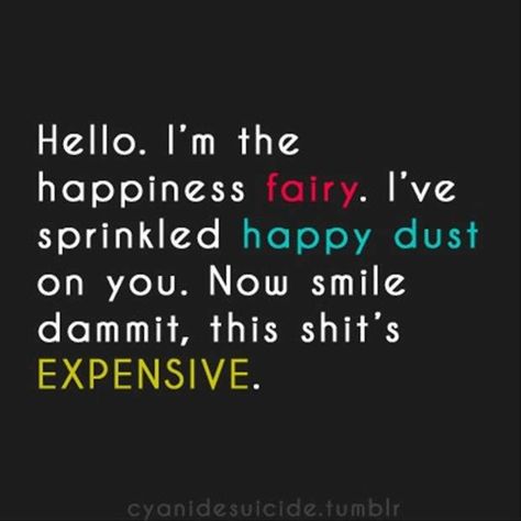 I am the happiness fairy Cheer Up Quotes, Cheer Someone Up, Up Quotes, Cheer Up, A Quote, Bones Funny, Happy Quotes, Great Quotes, Make You Smile