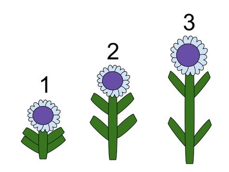 Plant Hormones, Soil Conditioner, What Is The Difference Between, Plant Growth, Market Research, Marketing Trends, Biology, Fun Facts, Marketing