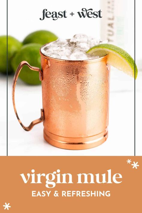 The Moscow Mule is a versatile drink that can easily be made without alcohol. Learn how to make the Virgin Moscow Mule a number of ways. Virgin Moscow Mule, Virgin Margarita, Summer Mocktails, Moscow Mules, Moscow Mule Recipe, Mule Recipe, Electric Juicer, Infused Vodka, Mocktail Recipe