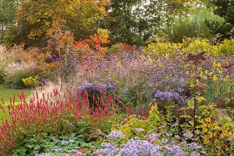 Summer might be over, but the gardening season is not as evidenced by this beautiful late-summer garden which marries small and medium-sized plants with great fall colors. You can easily replicate it in your own garden. Late Summer Garden, Fall Borders, Great Dixter, Fragrant Plant, Have Inspiration, Mediterranean Garden, Traditional Garden, Seasonal Garden, Plant Combinations