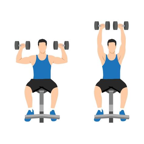 Man doing Seated Dumbbell overhead shoulder press . Top body workout. Upper body exercises. Flat vector illustration isolated on white background Overhead Shoulder Press, Overhead Press Dumbbell, Arnold Shoulder Press, Dumbell Shoulder Presses, Seated Dumbbell Shoulder Press, Overhead Press, Logo Design Inspiration Branding, Shoulder Press, Chest Workouts