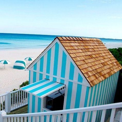 Beach Hut as Inspiration for Garden Shed Beach Hut Shed, Coastal Backyard, Mini Cottage, Garden Shed Ideas, Coastal Garden, Build Your Own Shed, Shed Ideas, Coastal Gardens, Backyard Shed