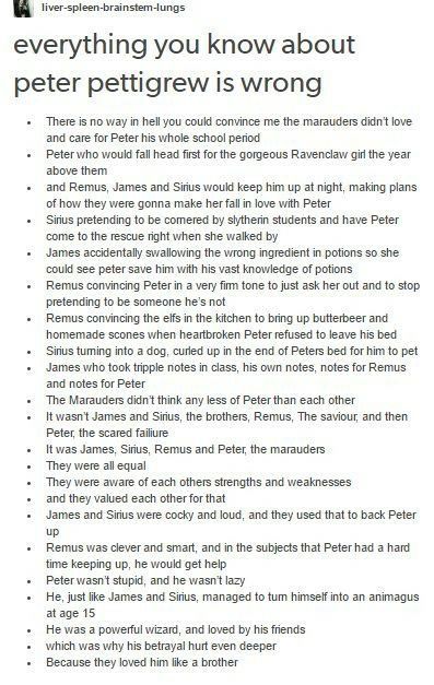 Peter Pettigrew And Sybill Trelawney, The Marauders Peter Pettigrew, Peter Pettigrew Betrayal Fanart, Marauders Characters List, Peter Pettigrew Quotes, Peter Pettigrew Headcanons, Marauders Era Characters List, Peter Marauders, Peter Pettigrew Fanarts