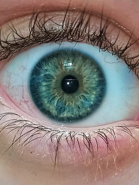 Bluish Green Eyes, Greenish Blue Eyes, Pretty Eyes Color, Limbal Ring, Grey's Anatomy Doctors, Taylor Swift Book, Blue Eye Color, Beautiful Eyes Color, Blue Green Eyes