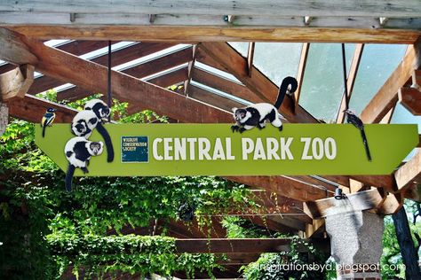 New York Central Park Zoo | Inspirations by D: Central Park Zoo in New York Zoo Sign, Central Park Zoo, Zoological Garden, New York Attractions, Sumatran Tiger, Bronx Zoo, Nyc Aesthetic, New York Central, Safari Park