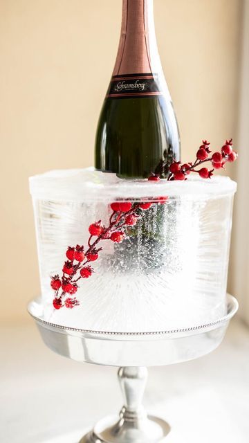 Zoe Francois, Champagne Stand, Diy Ice Bucket, Ice Decor, Entertaining Dishes, Raw Rice, Party Outside, Frozen Tundra, Party Bucket