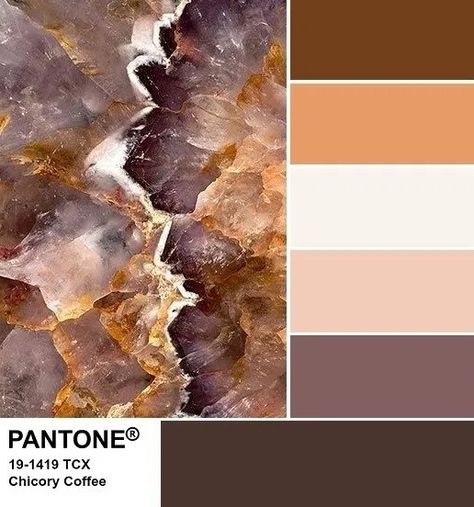 Material Collage, Colours That Go Together, Chicory Coffee, Color Catalog, Color Pallete, Business Colors, Paint Color Schemes, Color Schemes Colour Palettes, Image Nature