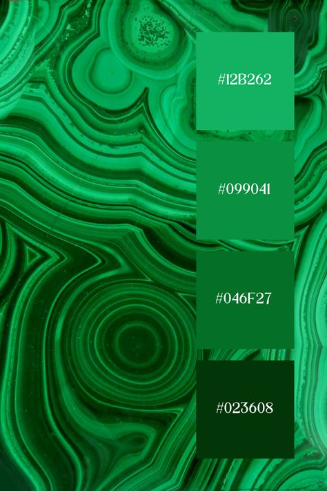 Green Color Palette features a vivid green color palette with intricate, natural patterns reminiscent of malachite stone. The various shades of green create a sense of depth and movement, with darker and lighter greens blending in swirling, circular patterns. Shades Of Green Palette, Emerald Green Color Palette, Color Scheme Generator, Green Monochrome, Color Generator, Green Color Combinations, Monochrome Color Palette, Black Color Palette, Purple Color Palettes