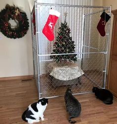 18 More Cats Vs Christmas Trees For Your Holiday Horror | Cuteness Cat With Christmas Tree, Cat Vs Christmas Tree, Cat Christmas Tree Funny, Cats Vs Christmas Trees, Cats And Christmas Trees Funny, Dogs And Christmas Trees, Cat Christmas Tree Ideas, Cat Xmas Tree, Cats Christmas Tree