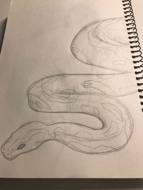 Snake Sketch, People In History, Easy Graffiti Drawings, Most Influential People, Snake Drawing, Arte Sailor Moon, Color Drawing Art, Animation Art Sketches, Meaningful Drawings