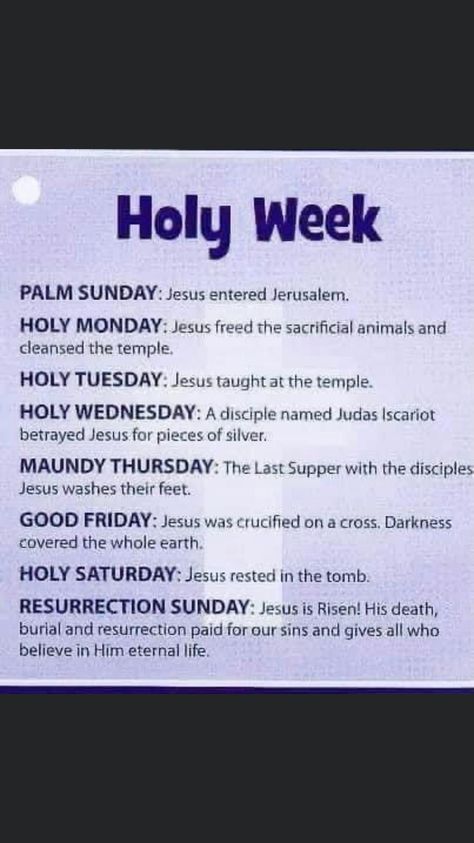 Holy Wednesday, Holy Monday, Lenten Activities, Maundy Thursday, Holy Saturday, Jesus Is Risen, Resurrection Sunday, Bible Images, Palm Sunday