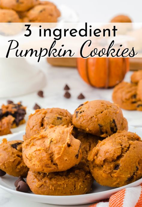 Pumpkin Chocolate Chip Cookies Easy, 3 Ingredient Pumpkin, Cookie Recipes Chewy, Pumpkin Spice Cookies, Easy Chocolate Chip Cookies, Pumpkin Chocolate Chip, Pumpkin Chocolate Chip Cookies, Pumpkin Chocolate Chips, Chip Cookie Recipe