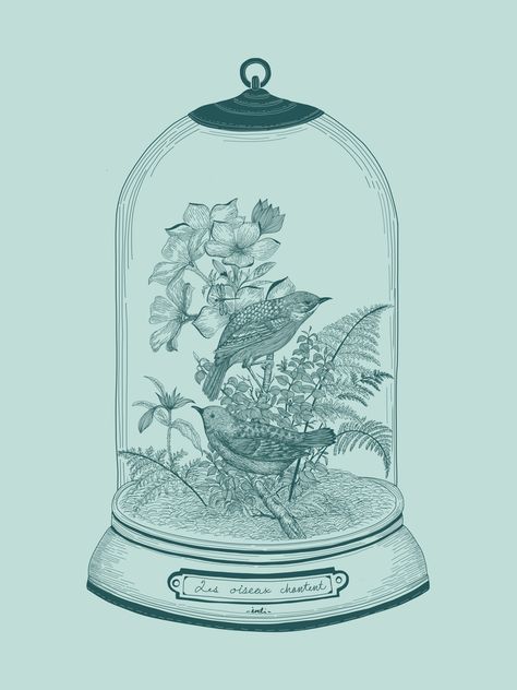 Vivarium Ideas, Abstract Pencil Drawings, Gothic Castle, Antique Picture Frames, Frame Logo, Natural Selection, House Illustration, Glass Dome, Glass Domes