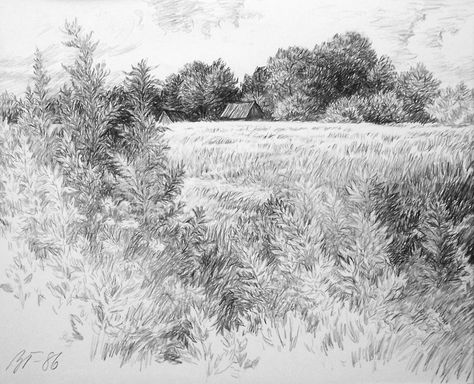 Pencil Sketches Landscape, Grass Drawing, Sketch Background, Landscape Pencil Drawings, Nature Sketch, Landscape Sketch, Landscape Drawings, Cool Landscapes, Color Pencil Drawing