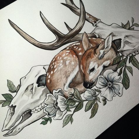 Fawn Tattoo, Buck Skull, Fingerfood Baby, Deer Illustration, Deer Tattoo, Nature Art Drawings, Deer Family, Snake Art, Gothic Tattoo