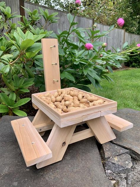 Squirrel Bench Feeder, Squirrel Tables, Diy Squirrel Picnic Table, Squirrel Picnic Table Feeder Diy Plans, Diy Squirrel Picnic Table Feeder, Squirrel Feeder Picnic Table, Squirrel Picnic Table, Squirrel Picnic Table Feeder Plans, Squirrel Feeder Diy Simple