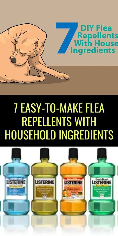 Homemade Flea Killer, Homemade Flea Shampoo, Flea Spray For House, Tick Repellent For Dogs, Kill Fleas On Dogs, Homemade Flea Spray, Flea Spray For Dogs, Natural Flea Remedies, Dog Flea Remedies