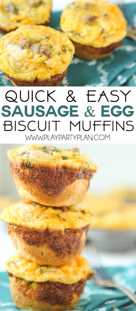 Egg Biscuit Muffins, Biscuit Muffins, Sausage Egg Muffins, Muffin Cups Recipes, Egg Muffin Cups, Sausage Muffins, Egg Muffins Recipe, Egg Muffins Breakfast, Egg Muffin