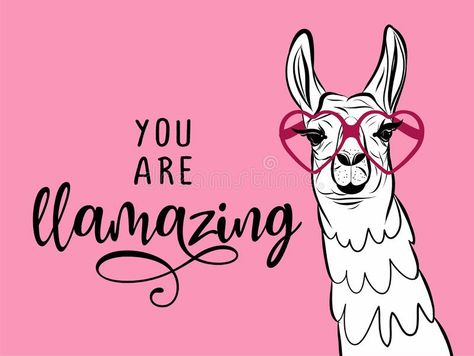 You are llamazing - funny vector quotes and llama drawing. vector illustration Funny Llama Pictures, Llama Drawing, Poster With Text, Llama Pictures, Gift Cartoon, Llama Birthday, Vector Quotes, Funny Llama, Word Art Design