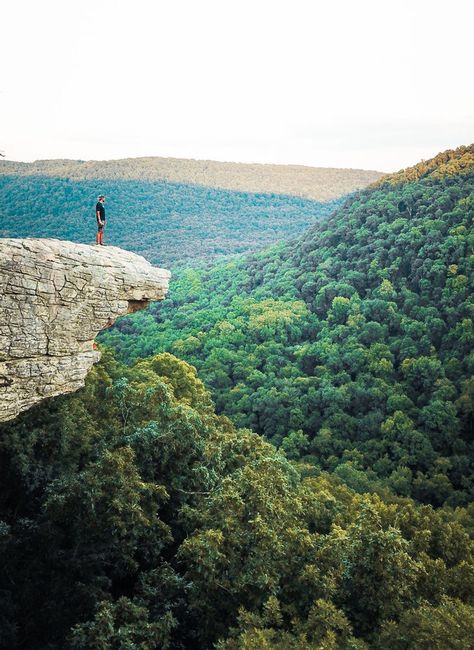 Whitaker Point Arkansas, Ozark National Forest Arkansas, Ouachita National Forest Arkansas, Ozark Arkansas, Ozark Mountains Arkansas, Hiking Arkansas, Ozarks Arkansas, Plum Cobbler, Arkansas Waterfalls