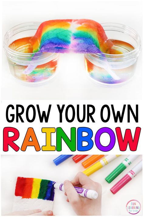 Stem Rainbow Activities, Rainbow Stem Activities, Walking Rainbow Experiment, Rainbow Experiments, Skittles Rainbow Experiment, Grow A Rainbow, Rainbow Science Experiment, Kindergarten Summer Activities, Skittles Experiment