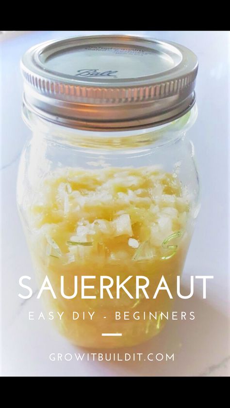 EASY DIY to make your own fermented sauerkraut. Don't be intimidated, it does not need to be complicated. Delicious & nutritious. Canning Veggies, Fermented Sauerkraut, Fermenting Weights, Homemade Bone Broth, Homemade Sauerkraut, Sauerkraut Recipes, Fermented Vegetables, Food Group, Frozen Vegetables