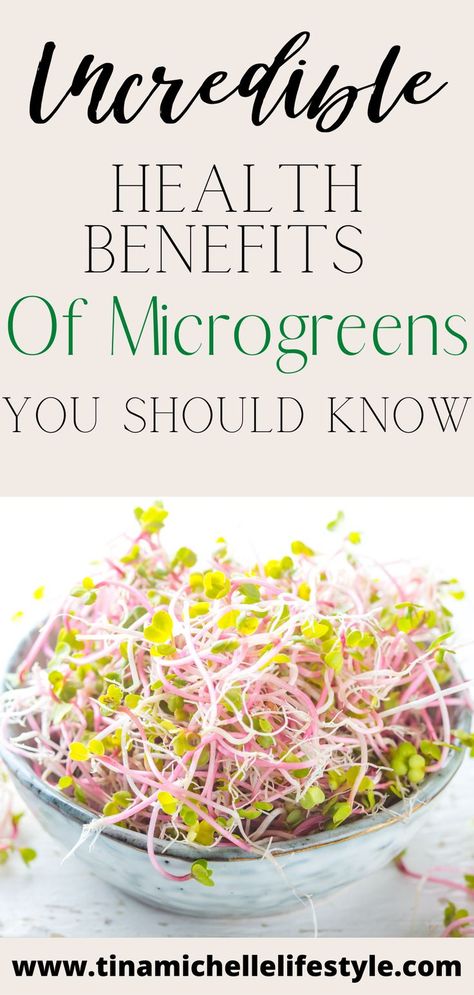 Incredible Health Benefits Of Microgreens You Should Know How To Eat Microgreens, Backyard Homesteading, Microgreens Recipe, Plants At Home, Clean Eating Lifestyle, Micro Greens, Growing Microgreens, Sprouting Seeds, Clean Eating For Beginners