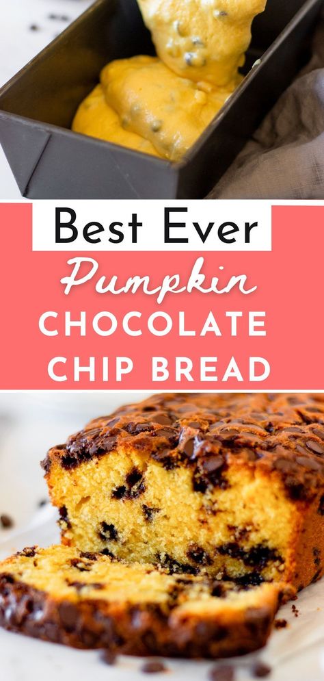 Sweet, cakey pumpkin bread laced with chocolate chips inside and out, this is a classic Pumpkin Chocolate Chip Bread recipe. Perfect for Fall! Winter Desserts Easy, Chocolate Chip Bread Recipe, Fall Dessert Recipes Easy, Chewy Bread, Best Chocolate Desserts, Chocolate Chip Bread, Pumpkin Chocolate Chip Bread, Fall Desserts Easy, Pumpkin Chocolate Chip