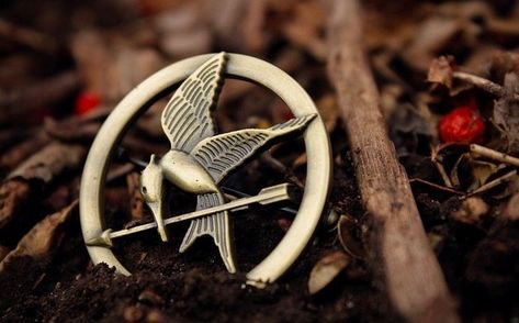 Tips for surviving The Hunger Games. Mockingjay Pin, Mocking Jay, Hunger Games Movies, Hunger Games Mockingjay, Hunger Games 3, Hunger Games Series, Hunger Games Catching Fire, Hunger Games Trilogy, Suzanne Collins