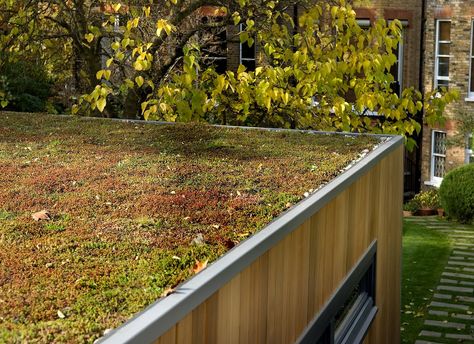 To create more green space in a garden choose a sedum room for your garden studio! Green Roof Garden, Sedum Roof, Green Roof System, Sedum Plant, Grass Roof, Roofing Options, Green Facade, Roof Extension, Living Roofs