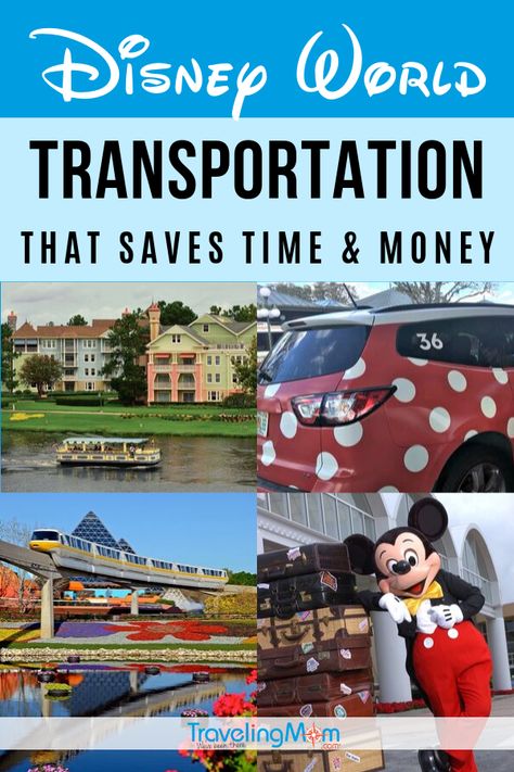 Getting To, From and Around Disney World: Essential Transportation Guide Disney World Transportation, Orlando Airport, Traveling Mom, Disney Transportation, Disney World Secrets, Disney On A Budget, Dining Plan, Disney Secrets, Disney Rides