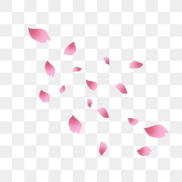 sakura petals,petals flying,petal,pink petals,flying petals,flying cherry petals,hand painted petals,simple petals,cartoon petals,floating material Sakura Cartoon Flower, Lil Tattoo, Petals In The Wind, Pink Flower Petals, Plant Reference, Black Sakura, Sakura Petals, Png Material, Floating Material