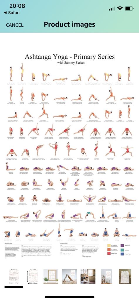 Yoga Flow Sequence Intermediate, Advanced Yoga Sequence, Ashtanga Yoga Sequence, Yoga Knowledge, Sitting Yoga Poses, Ashtanga Primary Series, Yoga Chart, Ashtanga Yoga Primary Series, Gentle Yoga Flow