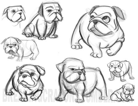 Cute Bulldog Cartoon Drawing Sketch Coloring Page Cute Bulldog Drawing, Drawing Coloring Pages, Dog Tutorial, Dogs Cartoon, Dogs Drawing, Bulldog Drawing, Cartoon Drawings Sketches, Bulldog Tattoo, Bulldog Mascot