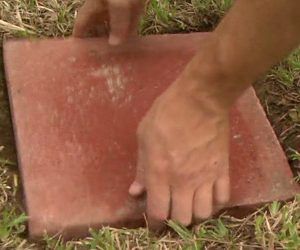 Round Stepping Stones, Circular Lawn, Stepping Stone Walkways, Gravel Walkway, Circular Patio, Wood Walkway, White Gravel, Stepping Stone Paths, Concrete Path