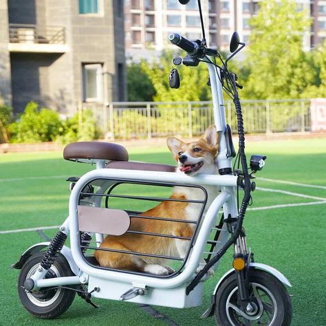 meet mopet: a foldable e-scooter to take your dog for a ride Scooter Custom, Wheelchair Accessories, Cat Tower, Older Dogs, E Scooter, Dog Carrier, Pet Safe, E Bike, Pet Carriers