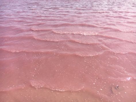 the pink lake, Victoria Tout Rose, Pink Lake, Peach Aesthetic, Capture Moments, Mermaid Aesthetic, Forever Rose, Pastel Pink Aesthetic, Photography Beauty, Eyes Closed