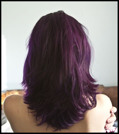 Wild Orchid Hair, Violet Brown Hair, Pravana Violet, Orchid Hair, Pravana Vivids, Dark Purple Hair, Violet Brown, Plum Hair, Hair Tint