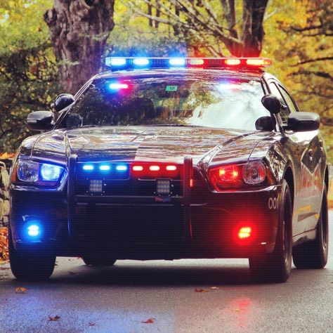 Dodge Charger Pursuit police car Police Car Lights, Police Lights, Police Truck, Police Patrol, Dodge Chargers, Cop Cars, Police Gear, Highway Patrol, Police Vehicles